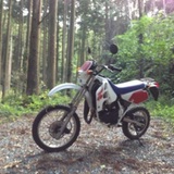 NOVICE
