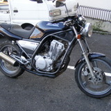 SRX250