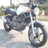 VTR250