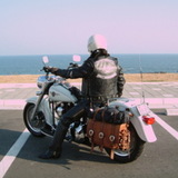 HARLEY DAVIDSON BIKERS ASPHALT COWBOY