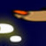 WARP