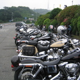 Bear’s