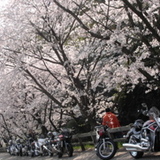 だぶだぶ WorldWind