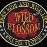 WILD BLOSSOM