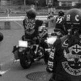 コブラM/C