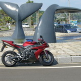 YZF-R1