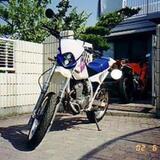 XLR250R