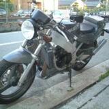 ウルフ250