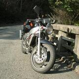 ウルフ250