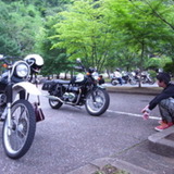 FreeBird.tm