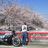 名古屋サースデイ