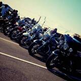 Rays.of.Arion    ROA (xv1900mc)