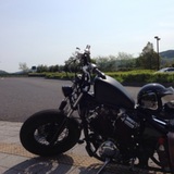 チーム DS