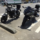 とりツー(仮)