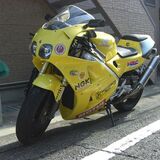 赤兎