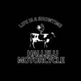hallelu motorcycle  ※お試し参加歓迎