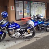 カツオレーシング
