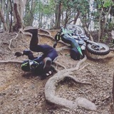 ゲロライダー