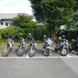 FREE'S