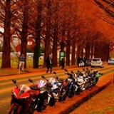 team  fahren(仮)