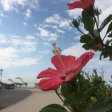 STT(初心者ツーリングチーム)