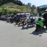 team禅zen