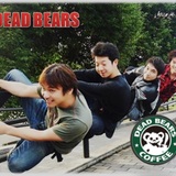 Dead Bears 
