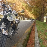 滋賀.京都ツーリングクラブ