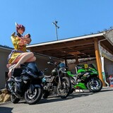 TOURING CLUB Blue Bee