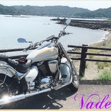 Vade mecum