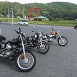 キャブ車ハーレー限定 ツーリングメンバー募集