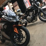 SP