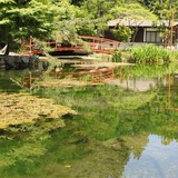 あんぜん