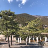 バイクの仲間達