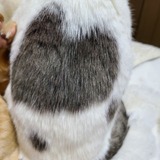 兵庫わびさびの道