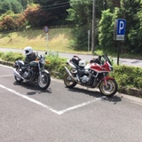 ELDER-BIKERS