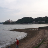 原付走会  MINERIN