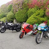 90 over classic (squadra di curry) 