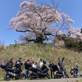 原2 UNDER125