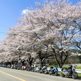 ホットランナー