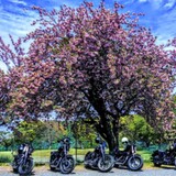 【NEW】ハーレーツーリング仲間募集!初心者・リターンの方、大歓迎♪