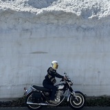Now ~今、走らずしていつ走る!~