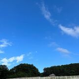 出会い・恋愛クラブ