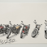 BU250